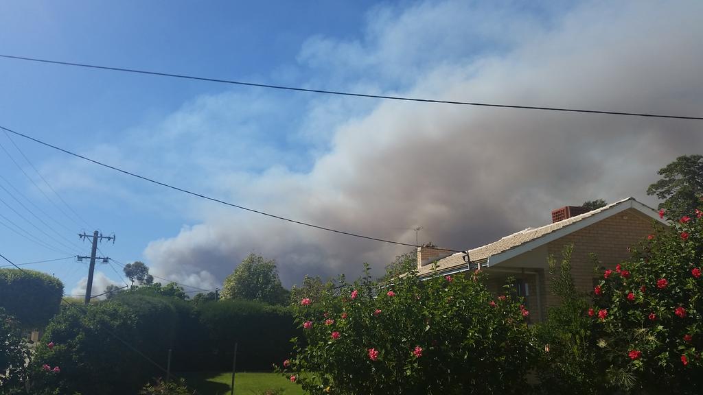 View image on Twitter