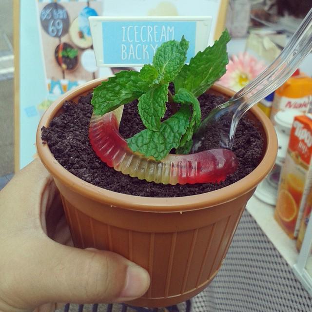 PaY♡BeforeXMAS tweet media