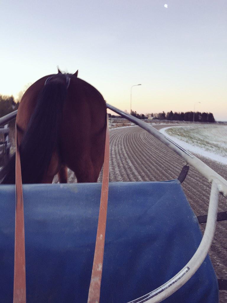eewahlberg's tweet image. Börjar söndagen med en morgonskritt med Corre. Han är säker han. #digitalcontrol #stalltz