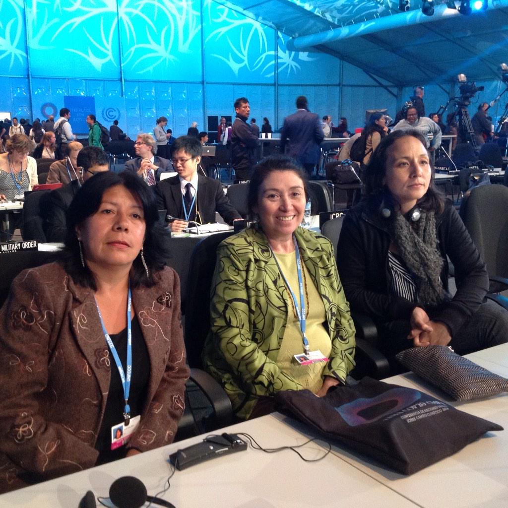 Presidente de la COP 20 anuncia la aprobación del borrador de desiciones.