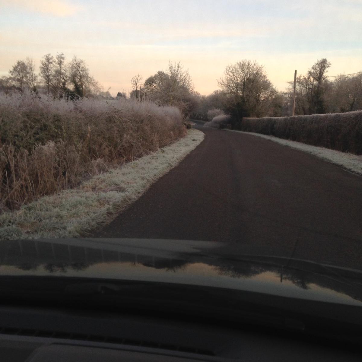 trevaskissally's tweet image. Gorgeous frosty Sussex morning. On our way to @bbcCraftFair