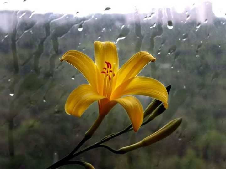 Sebening2's tweet photo. Seperti "Cinta dalam diam" @Shaheer_S @Yossthea @faridawati86 http://t.co/Kuyl60Xb6Q
