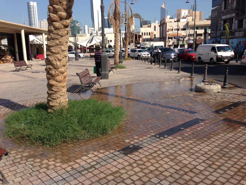 temor33's tweet photo. الاشجار ميته والمقاول أخذ الفلوس و طار كالعادة. هذا هو حال قلب العاصمة. والله أني ميت قهر وانا أتمشى مع ضيفي اجنبي http://t.co/JfzAQ2DWHZ