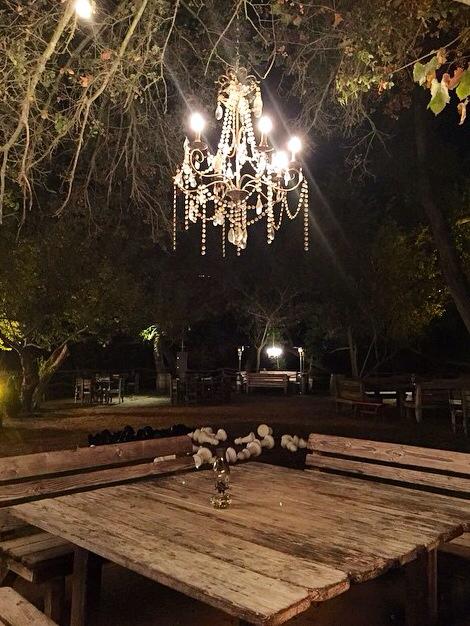 The_Malibu_Cafe's tweet photo. Nature meets romantic elegance...#beauty http://t.co/dhilDH74QS