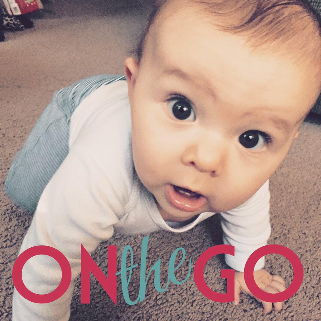 AdorkablyGeeksh's tweet image. She's working on it. #LearningToCrawl #BigGirl #NeedToBabyProof