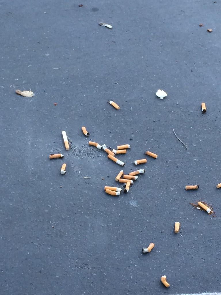 tutierey's tweet image. Let's keep our #planetclean #consciousness