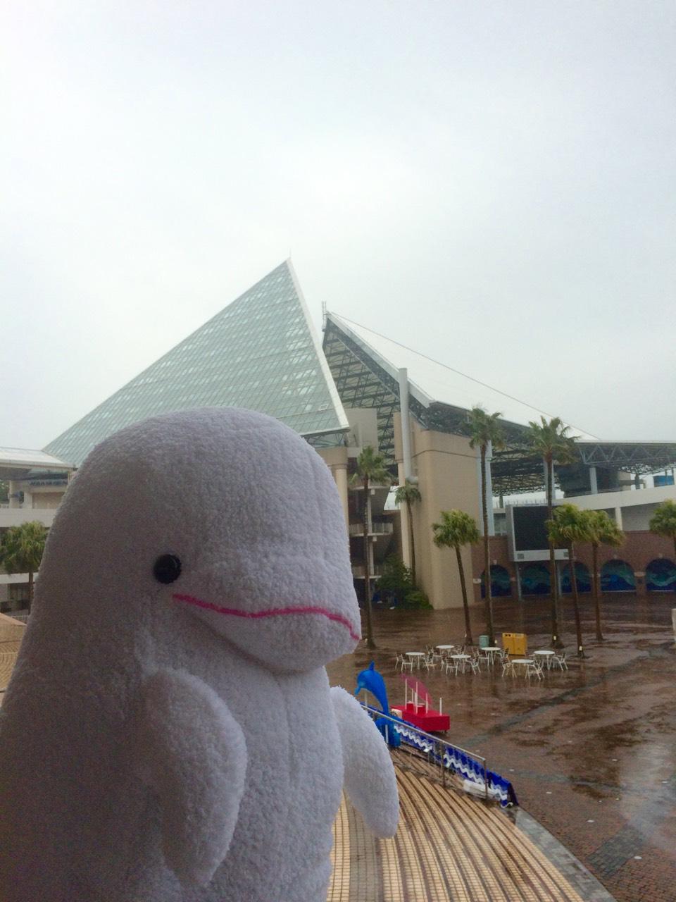 Twitter 上的 横浜 八景島シーパラダイス公式 八景島シーパラダイス おはようございます 12月29日の八景島の天気は雨 気温も低いので お出かけする際はいつもより暖かい格好で 八景島シーパラダイスは いつでもみなさまのことをお待ちしております Http