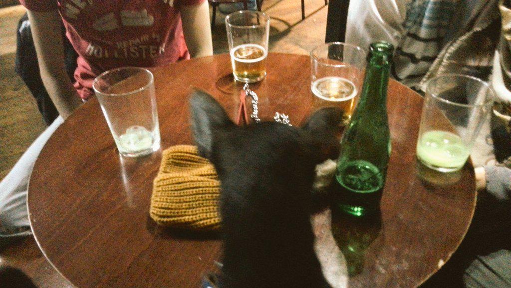 LCasar95's tweet photo. No mal.
@Jandro_Magno @CrisCastanyeda @Tajurdo #Java #Rulo #TheHood http://t.co/hXkg59r48t