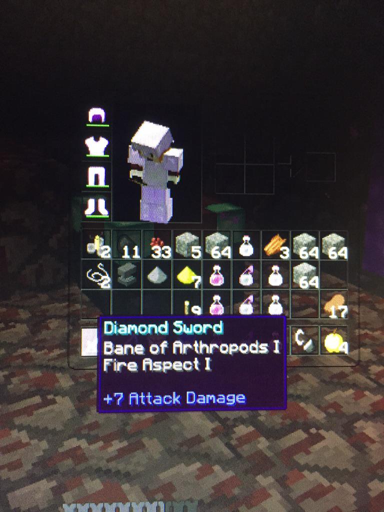 KidsCarson's tweet image. @AciDicGamerz    Fire-Aspect back to back to back #HackerExposed