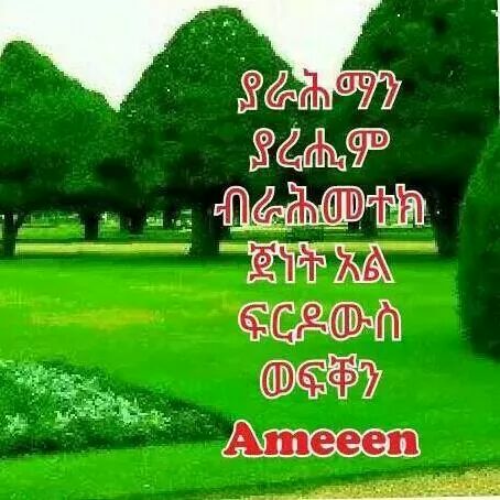 11222049abdula's tweet image. 