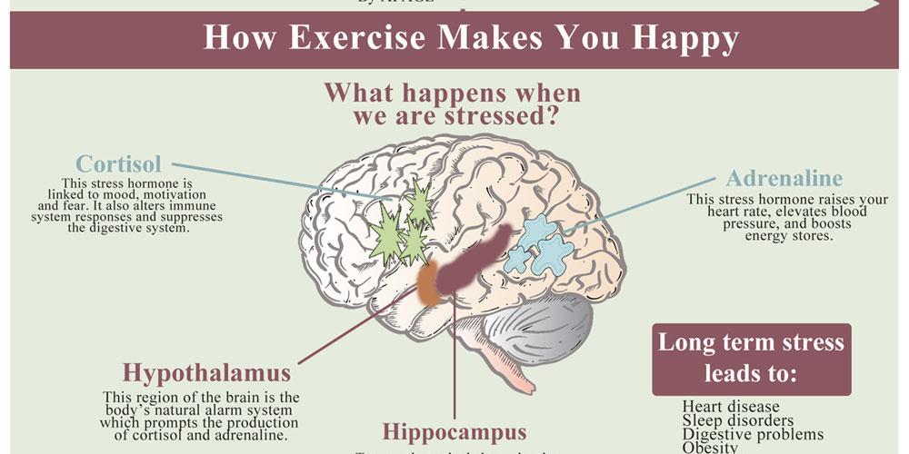 AHealthBlog's tweet photo. The Happiness Effect Infographic http://t.co/3MpYDbWaVf http://t.co/AV7KAfvfD8