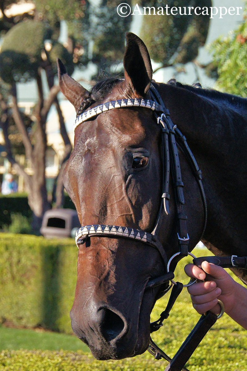 Crypto Aero (@crypto_aero) / Posts / X