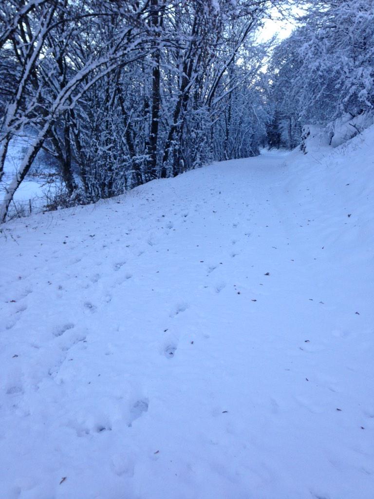 BeatriceKeiser's tweet photo. Let it snow let it snow...❄️ http://t.co/5EtL0YItu1