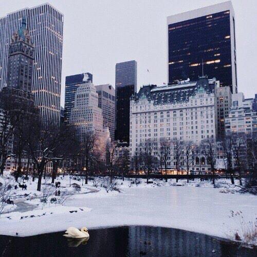 Algún año de mi vida quiero vivir las navidades en Nueva York.