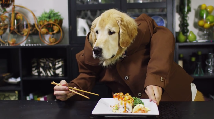 Embedded image permalink