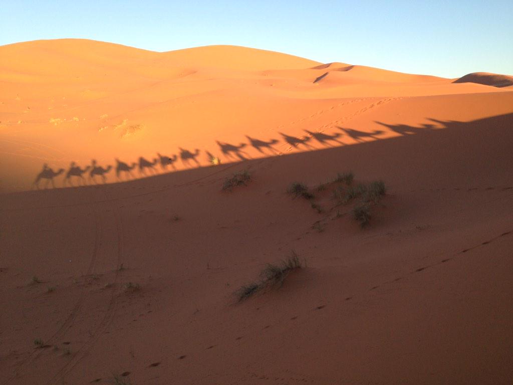 StuVoss's tweet photo. Saharan shadows... http://t.co/7BMuEdSydw