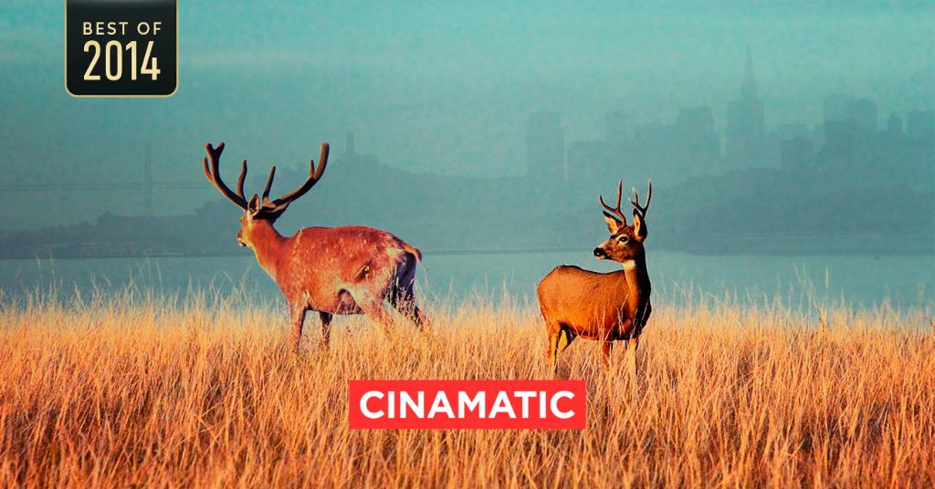 Permalien de l'image intégrée