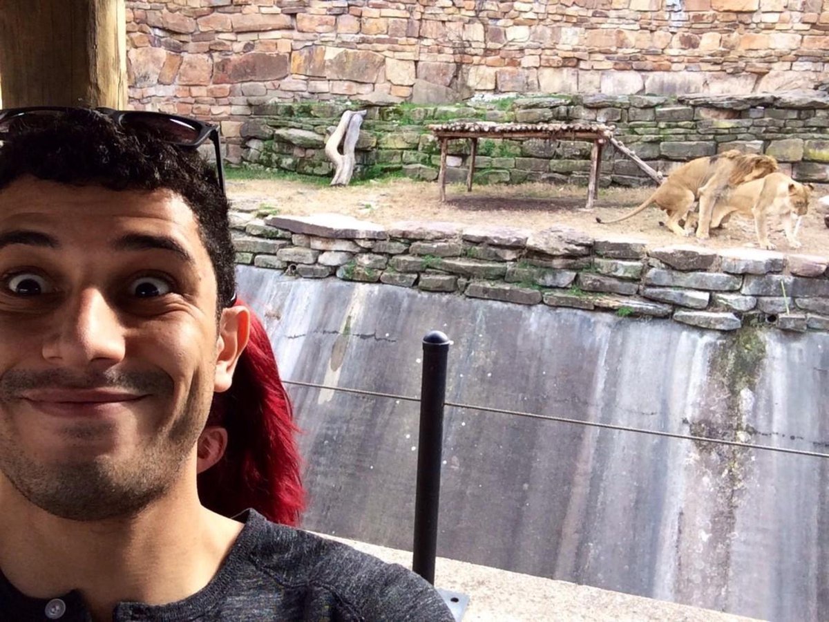 Advil's tweet photo. tbt that time the lions at the zoo were fuckin http://t.co/IMv4JCQTrb