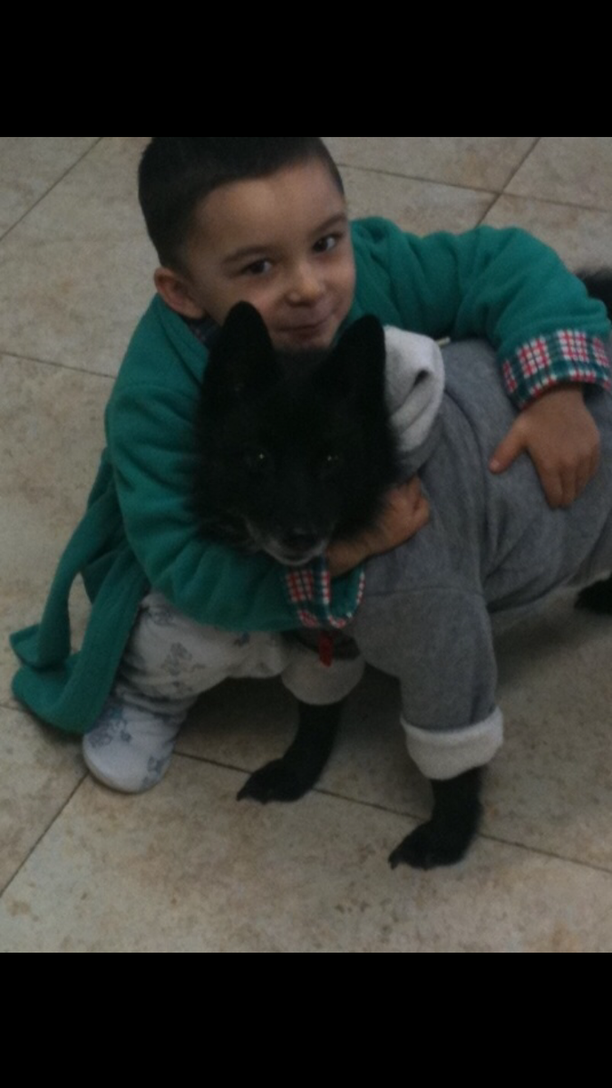 Sheddy88's tweet image. All dogs go to Heaven...
#RipScooby