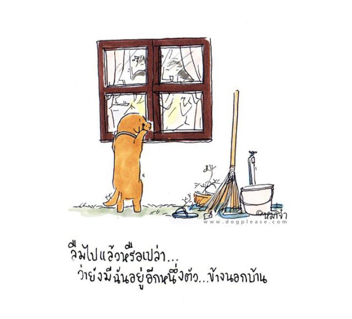 DogpleaseMaaJa tweet picture