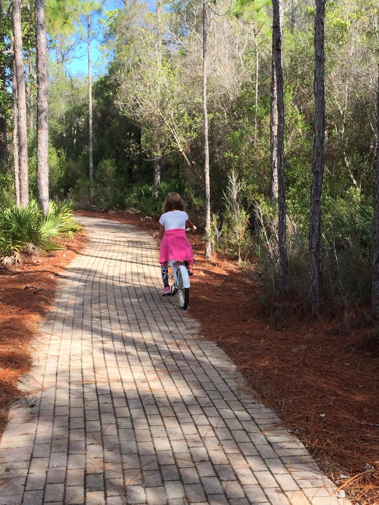 billshipp's tweet photo. Beautiful ride with the family today! #PerfectSWPath #SouthWalton @Yoloboard! http://t.co/0SYcGtGrKt