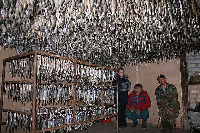 От таких натяжных потолков текут слюнки и хочется сбегать за пивом! #натяжные #потолки #юмор