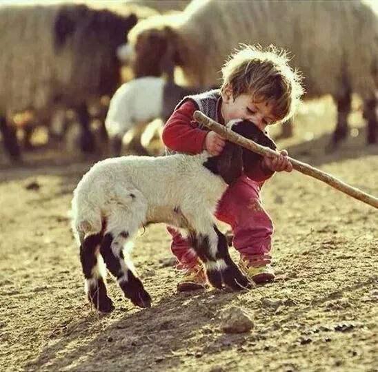 B50W2E3CcAACJmG.jpg:large