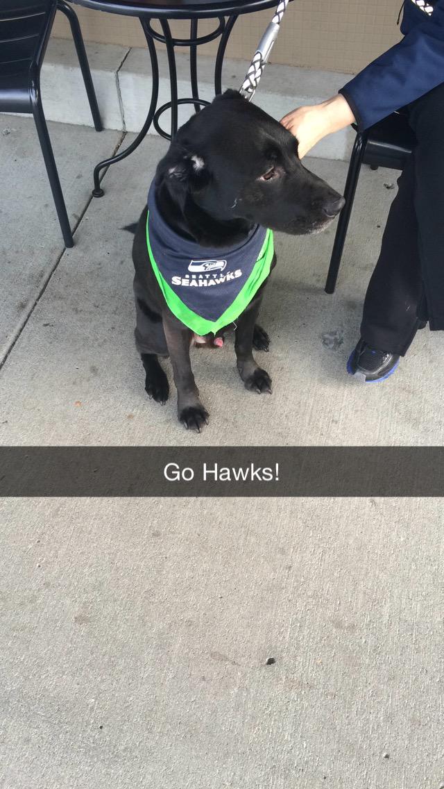 mashashtikel14's tweet photo. Blue friday done right ! #gohawkd @Kam_Chancellor http://t.co/fEqXhbXLfr