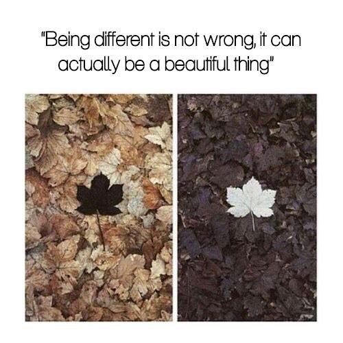 Different is okay.