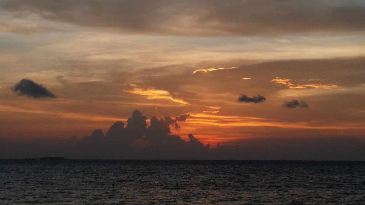 MiaReef's tweet photo. #anotherdayinparadise#islamujeres only @MiaReef http://t.co/EJKMRSln8u