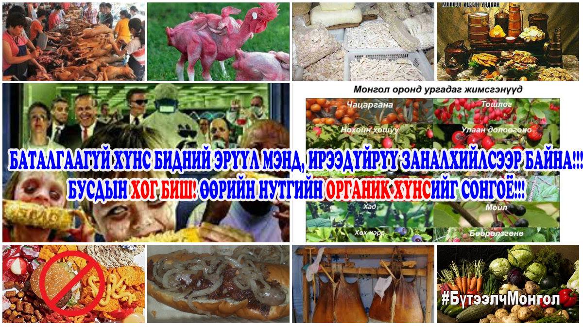 БАТАЛГААГҮЙ ХҮНС БИДНИЙ ЭРҮҮЛ МЭНД, ИРЭЭДҮЙРҮҮ ЗАНАЛХИЙЛСЭЭР!!!
БУСДЫН ХОГ БИШ! ӨӨРИЙН НУТГИЙН ОРГАНИК ХҮНСИЙГ СОНГОЁ