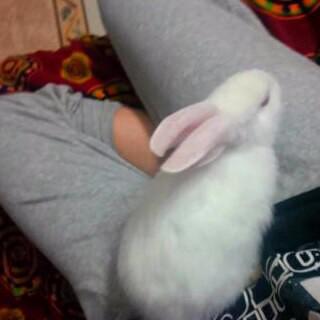 RAlshmmiry's tweet photo. http://t.co/Hr3Fts88gD