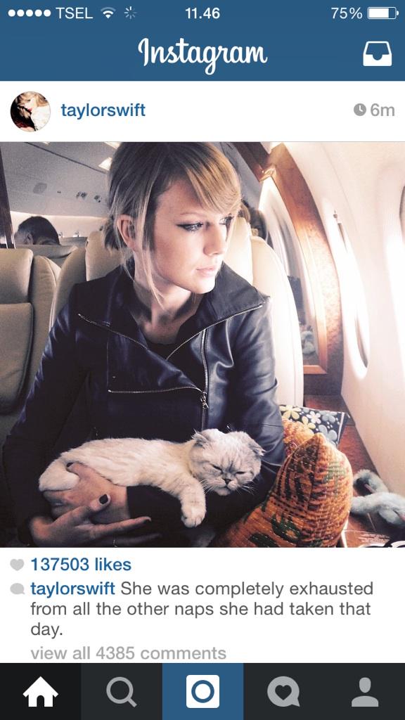 TSwiftiesIND's tweet image. Taylor posted that picture (instagram) #swiftupdate