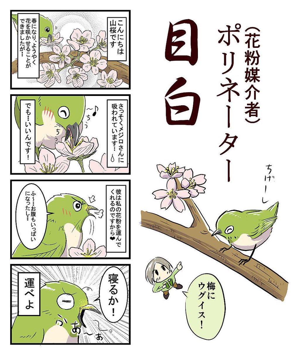 桜をテーマにした3月号のカラー版。いつも通りマニアック（汗） 