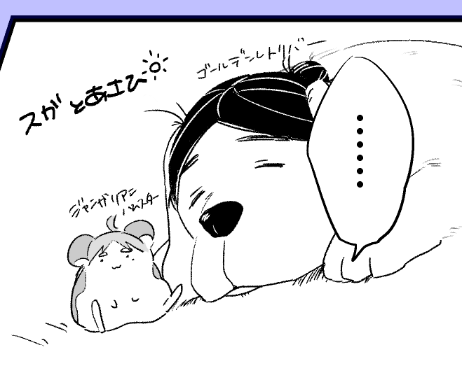 ハムスターのスガと犬のあさひ 