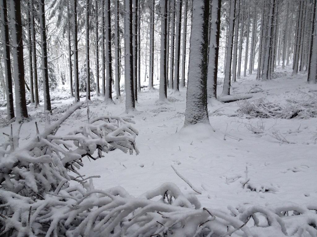 PhilippeGilbert's tweet photo. Snow in Belgium #instantané http://t.co/QYkFHTHsGH