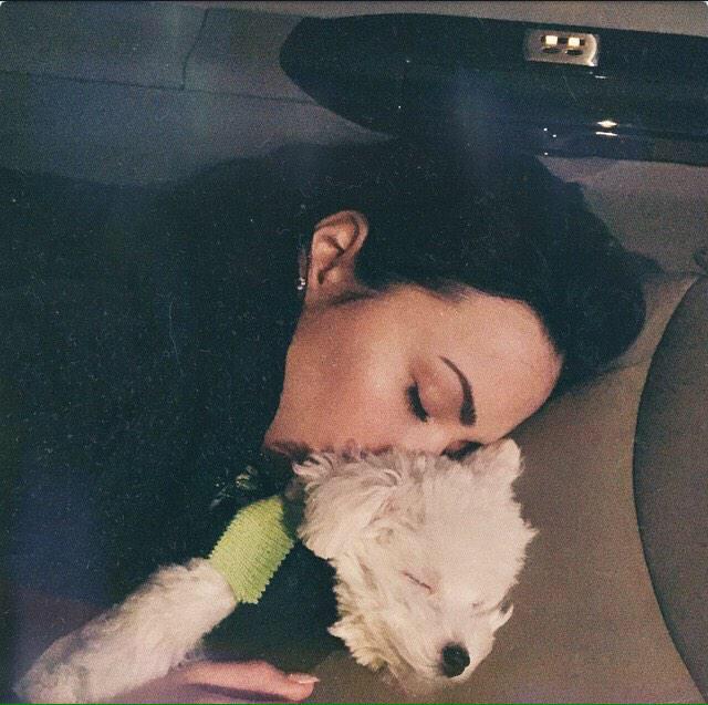 buddylovato's tweet photo. Cuddles with mom🐶💗 http://t.co/xleRruOWkl