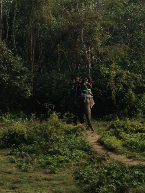 _nepal2014's tweet photo. http://t.co/EuXIb9oSCR
