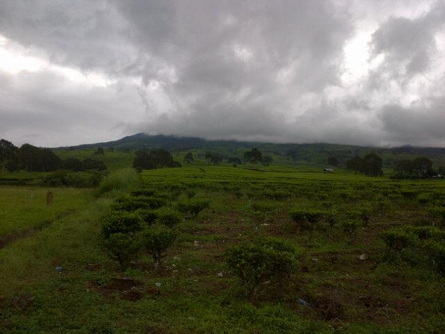 Lembah <a href="/gunung/">mustafar kamal</a> Dempo