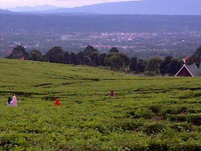 Panorama kota <a href="/Pagar/">paradongan siregar</a> Alam