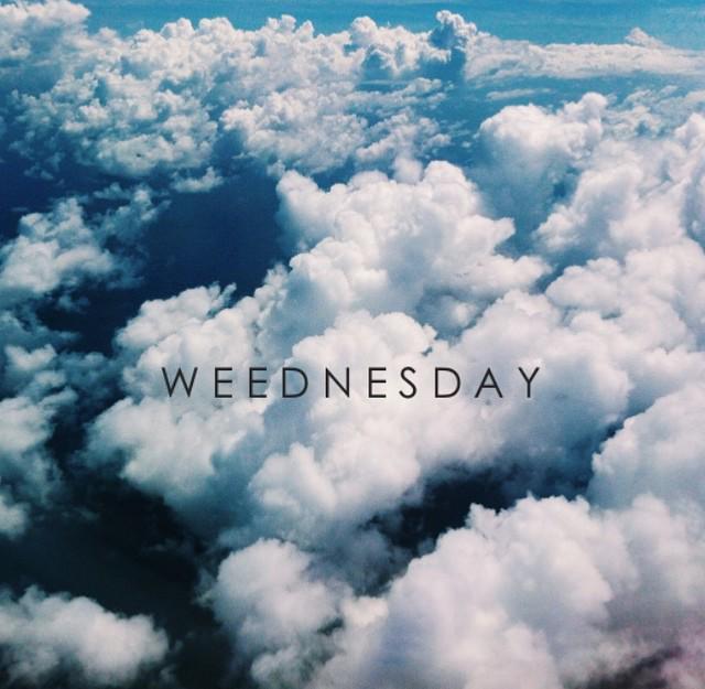 MP // Mandala Putra tweet media