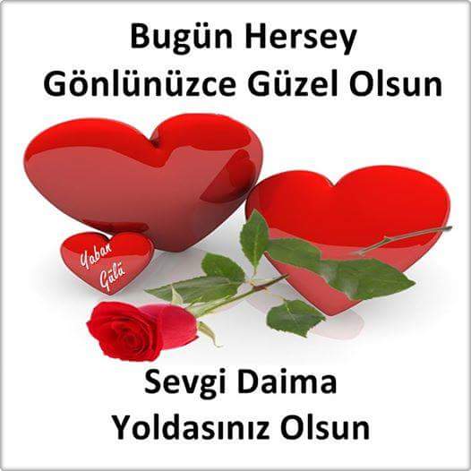 TC Nuray  (@nurayydogan) on Twitter photo 