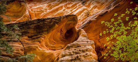 Permalien de l'image intégrée