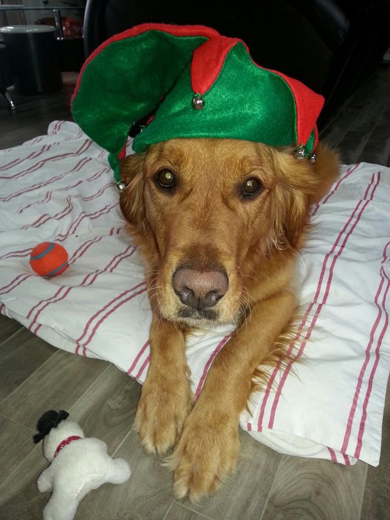 Merry Christmas to everyone 😉
<a href="/nash/">Nash</a>