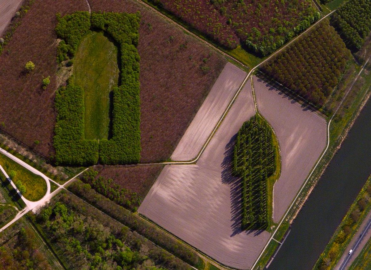 The Green Cathedral in Almere, Netherlands is composed of 78 poplar trees |  Learn more at http://t.co/LIf63KJkO9 |