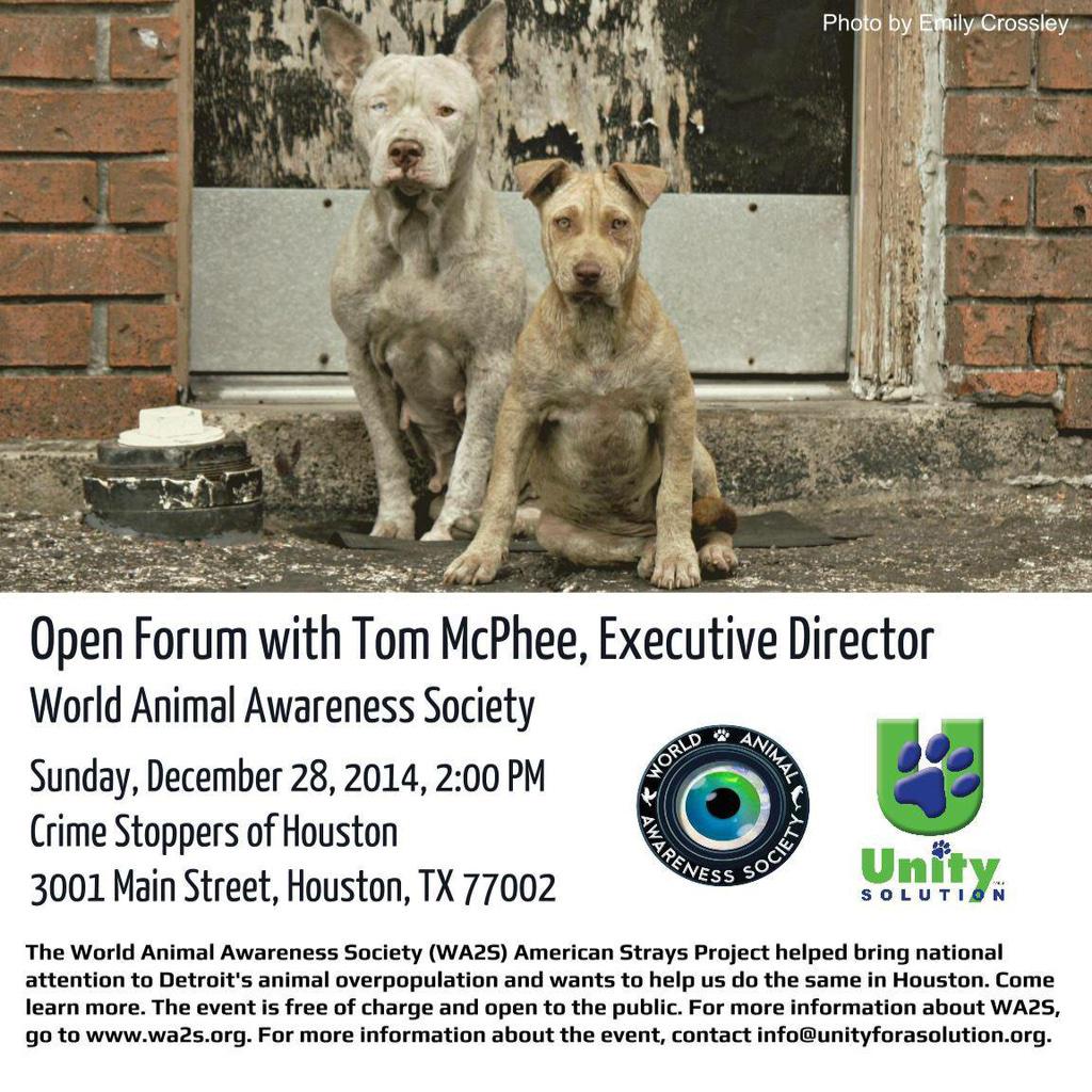 Unity4aSolution's tweet photo. Open Forum w/ @WA2Sorg TOMORROW 12/28 https://t.co/mzsxbXG39q #OperationHouston #AmericanStrays #SpayNeuter #HouNews http://t.co/e6tByIV3Ax