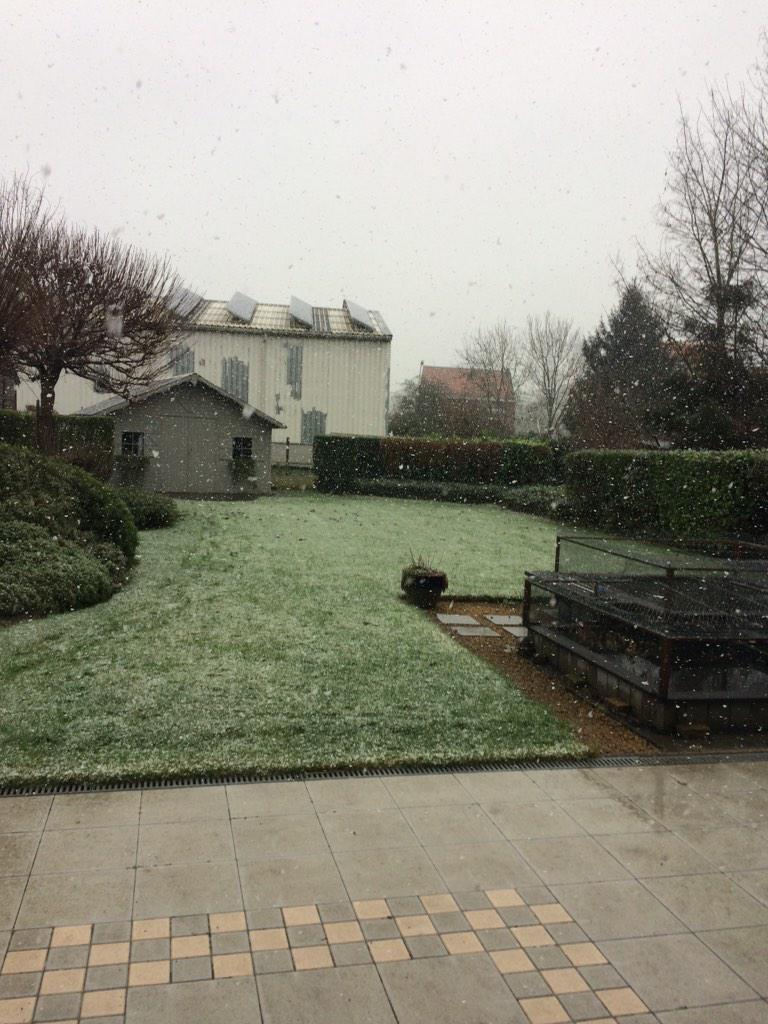 noelvantricht's tweet photo. Eerste sneeuw ternat.. http://t.co/ysJUJ5p8Pl