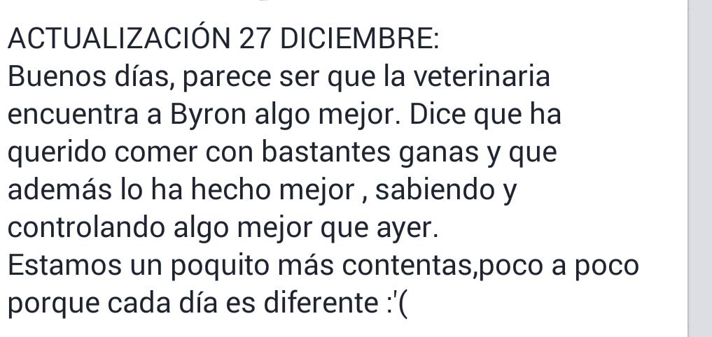 LASAnimal's tweet photo. https://t.co/Hppd1YFRnQ BYRON ESTÁ UN POQUITO MEJOR, EL DIAGNOSTICO ES GRAVE, sigue ingresado #TodosConByron http://t.co/xvzmu82V8z
