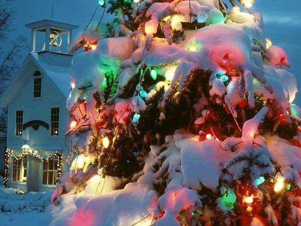 ded_moroz_2015's tweet photo. #MerryChristmas http://t.co/Ub73KFC8WU