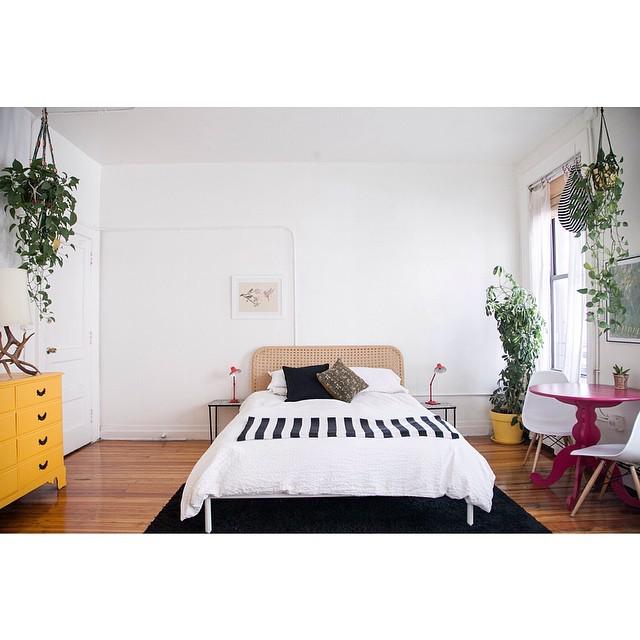 Still a few days left to WIN a stay at 3B! Repost one of our photos with #brooklynbandb ... instagram.com/p/xHKysLniCL/